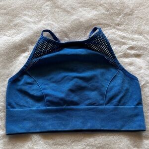 Aerie Vibrant Blue Sports Bra